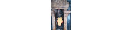 222. திருநாவலூர்